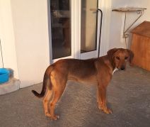 hutch9
